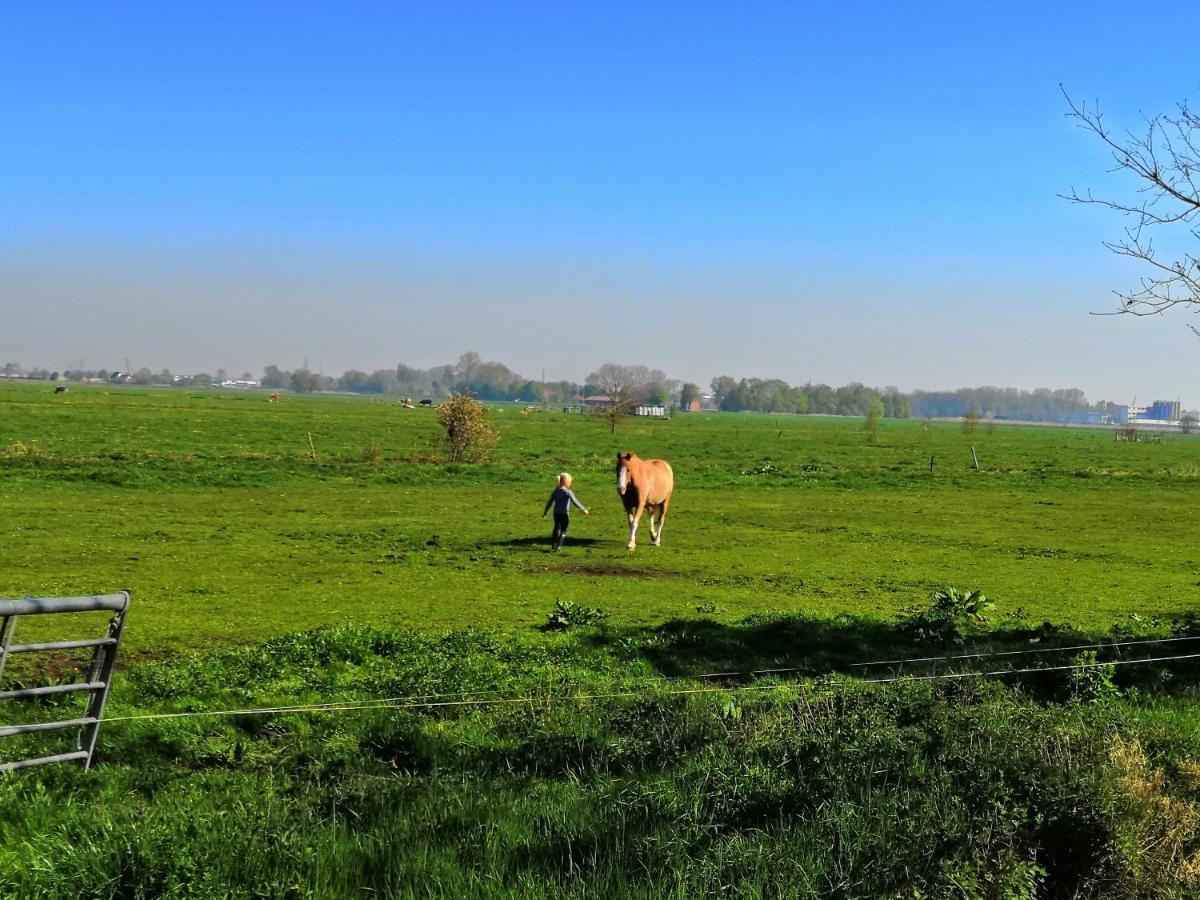 Apartament Urlaub Holthusen Brake  Zewnętrze zdjęcie